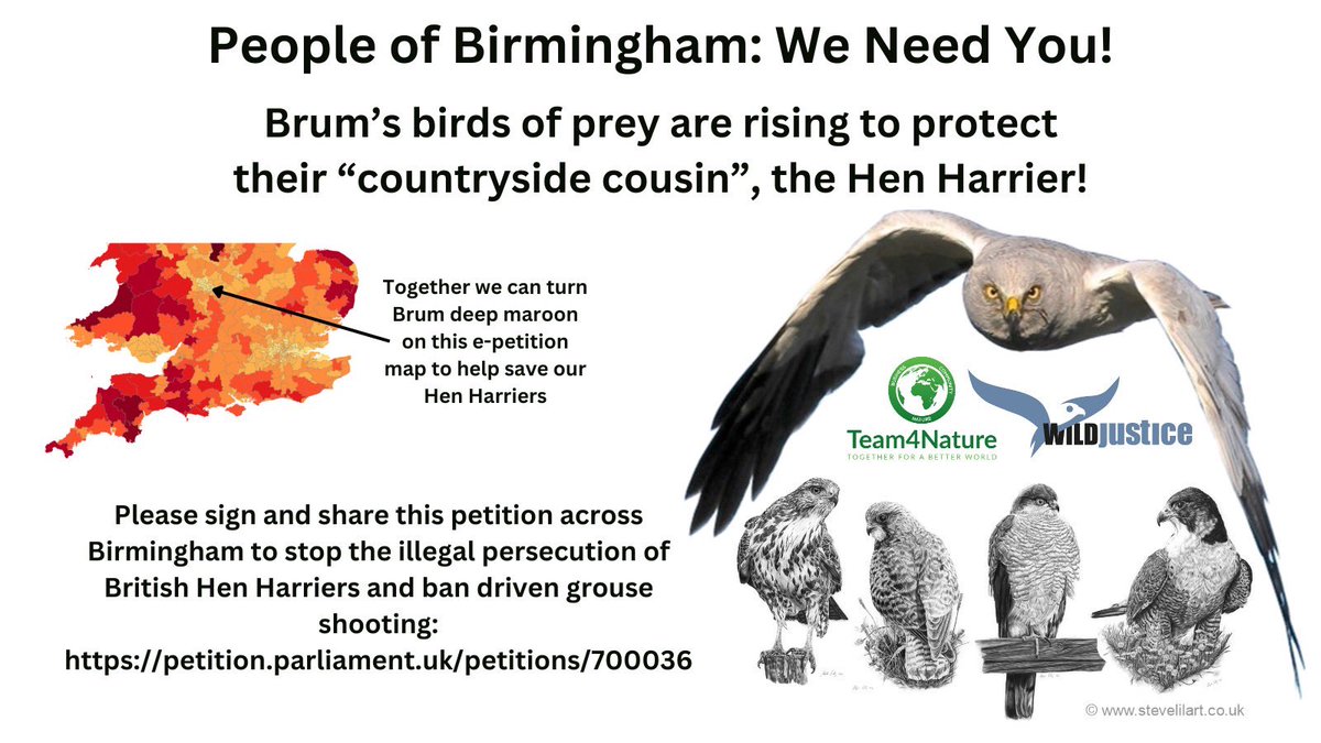 Brum’s Birds of Prey are rising to protect the Hen Harrier! 

People of Birmingham - we need YOU! 

496 signatures across the city so far:
team4nature.co.uk/blog/campaigns…