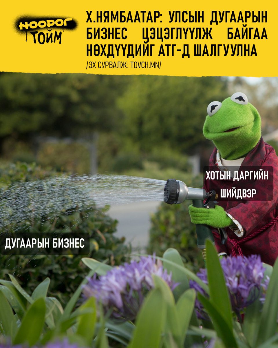 ✏️ Өнөөдрийн онцлох дотоодын мэдээг та бүхэндээ хүргэж байна