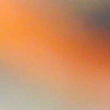 PUBLIC EVENT | Inheritance: A Speculative Ethnography of Evidence | 13 March 2025 | 15.00 - 17.00 | Framer Framed, Amsterdam. For more information and registration please visit: materialculture.nl