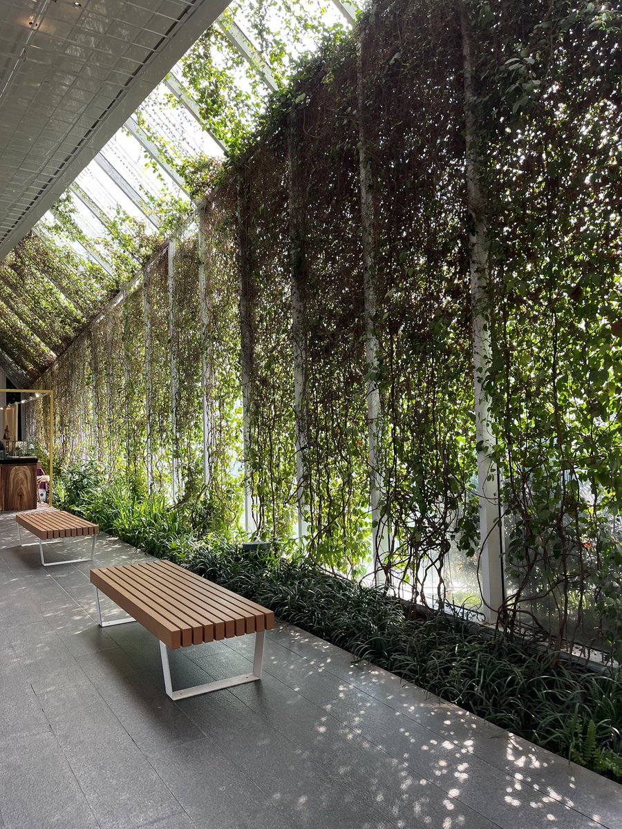 voidcaos's tweet image. In Thailand 🙊😋