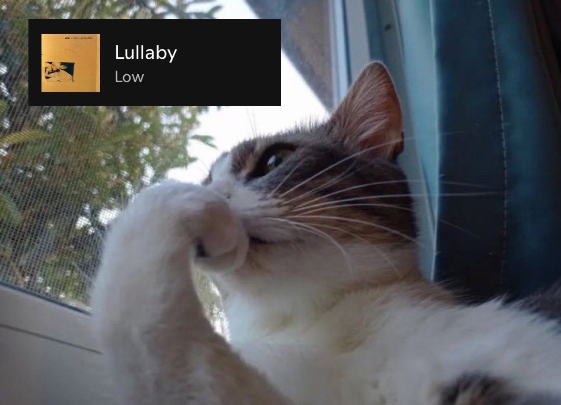 golevka (@hewruewr) on Twitter photo 