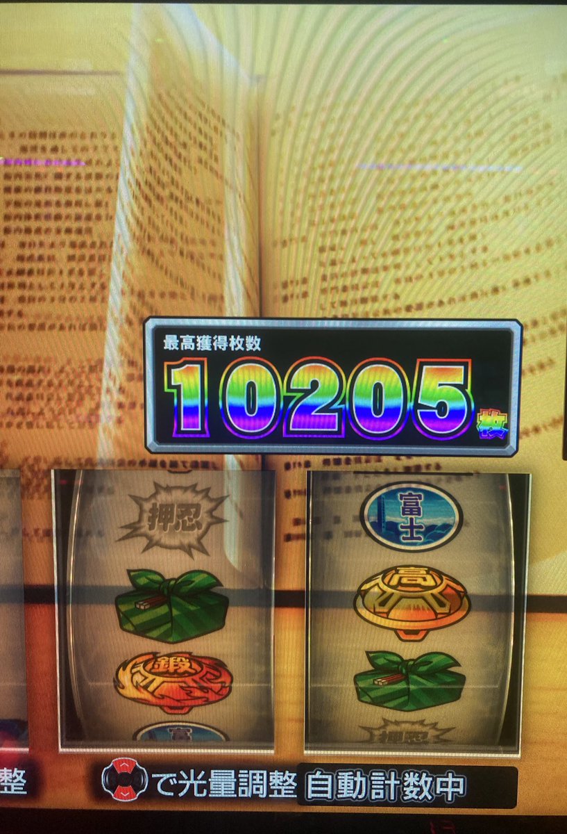 サーモン様　4点まとめ 29 [Slow Commentary] Side Order? No, Reimu is a One-Man