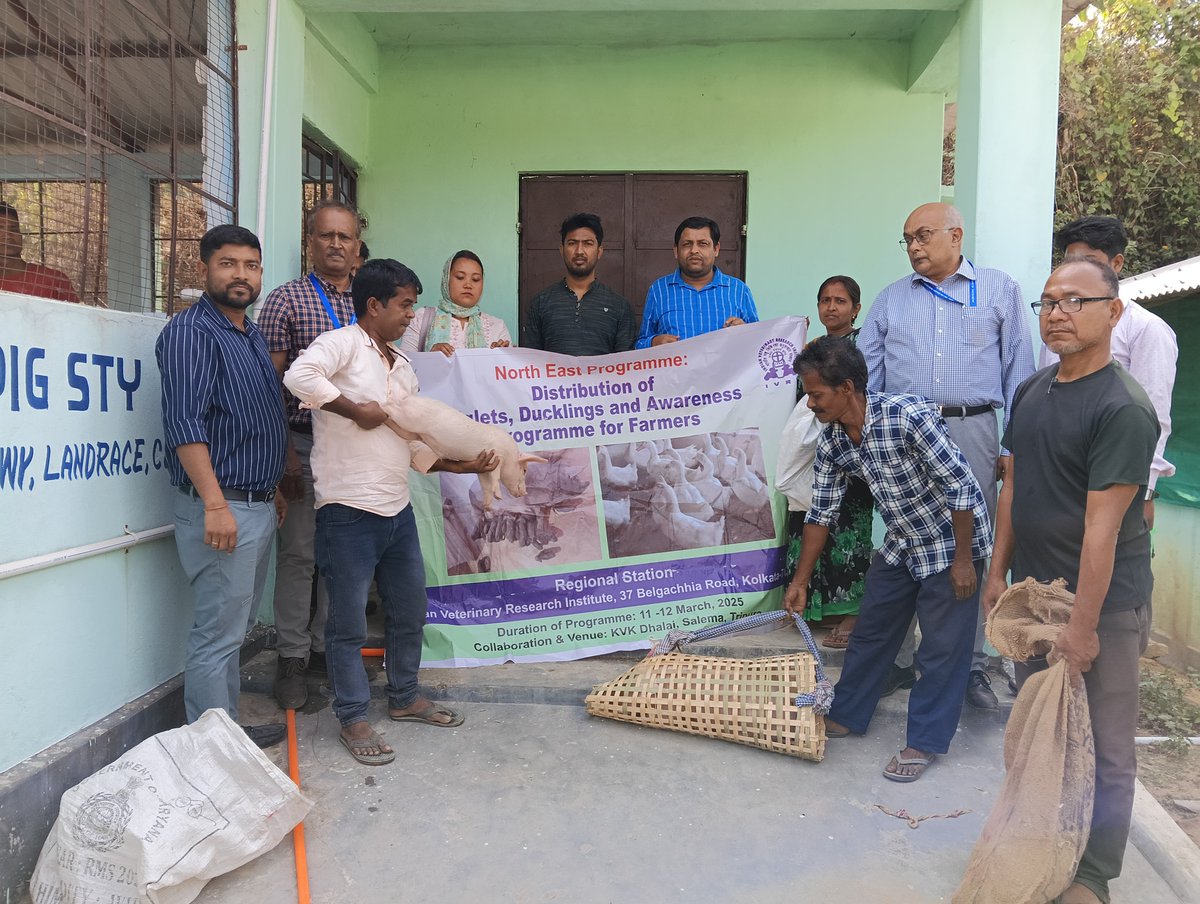 A Farmers Awareness and Input Distribution Programme on "Scientific Rearing and Management of Piggery, Duckery" was successfully conducted by KVK Dhalai in collaboration with ICAR-IVRI, Kolkata.
<a href="/AtariVii/">ICAR-ATARI Zone-VII Shillong</a> <a href="/agritripura/">Department of Agriculture and Farmers Welfare</a> <a href="/icarindia/">Indian Council of Agricultural Research.</a> <a href="/AgriGoI/">Agriculture INDIA</a> <a href="/DrManikSaha2/">Prof.(Dr.) Manik Saha</a> <a href="/RatanLalNath1/">Ratan Lal Nath</a>