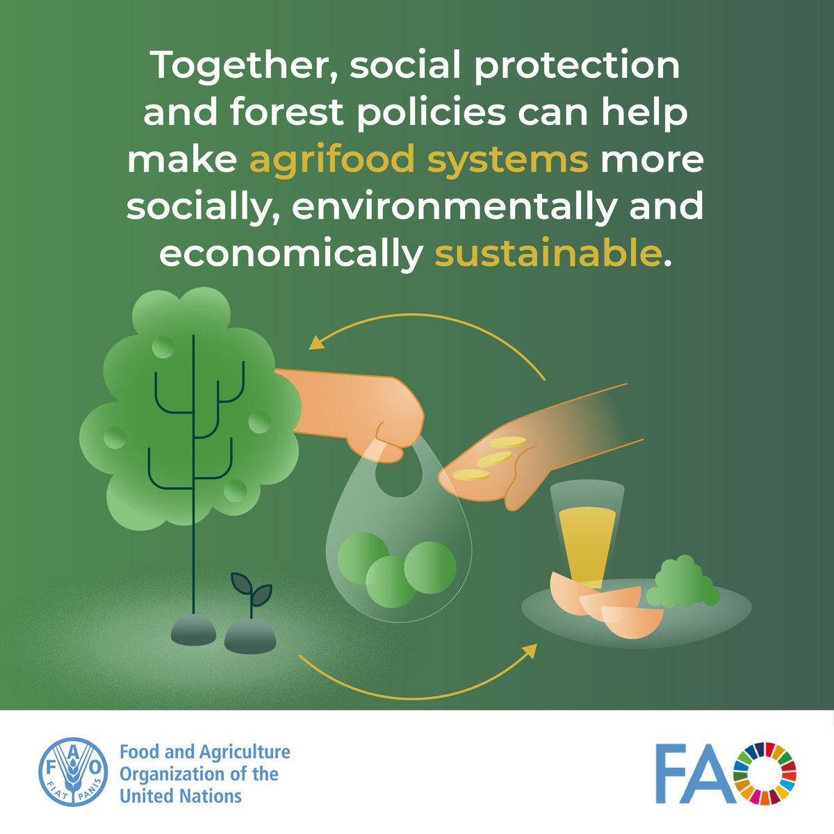 FAOForestry's tweet image. 1/3 of the global population relies on forests for their subsistence and income.

They are more likely to face poverty and inequality.

Harmonizing #SocialProtection with forest policy is a solution towards agrifood systems transformation.

More 👉 ow.ly/P6zl50SS5aU