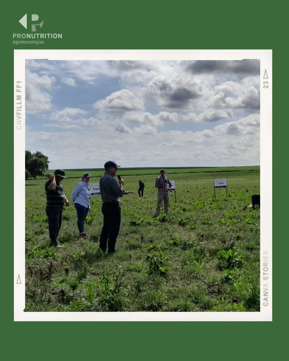 Jornada muy productiva! 🙌🏻

Compartimos recorrida de pasturas organizada por @pggwrightsonseeds.uy y @agrocentro_uy en la zona de campana, en el establecimiento de un cliente con un sistema agrícola ganadero, intercambiando información con productores y técnicos.