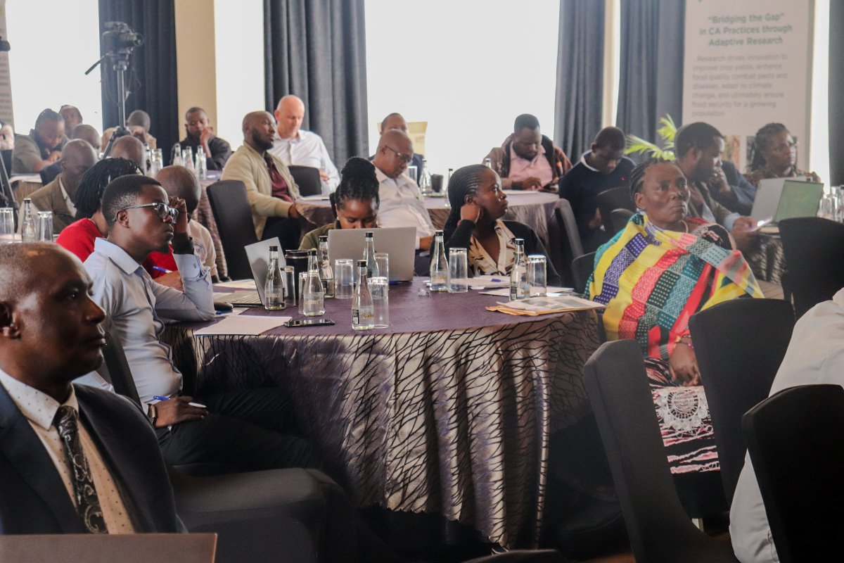ACT NETWORK (@actillage) on Twitter photo To ensure wide adoption and use of CA by young people, we should make #CA attractive. #ConservationAgKE <a href="/AGRA_Africa/">AGRA - Sustainably Growing Africa’s Food Systems.</a> <a href="/IrriHub/">Irri-Hub KE</a> <a href="/theGSBI/">Soil Biodiversity</a> To ensure wide adoption and use of CA by young people, we should make #CA attractive. #ConservationAgKE <a href="/AGRA_Africa/">AGRA - Sustainably Growing Africa’s Food Systems.</a> <a href="/IrriHub/">Irri-Hub KE</a> <a href="/theGSBI/">Soil Biodiversity</a>