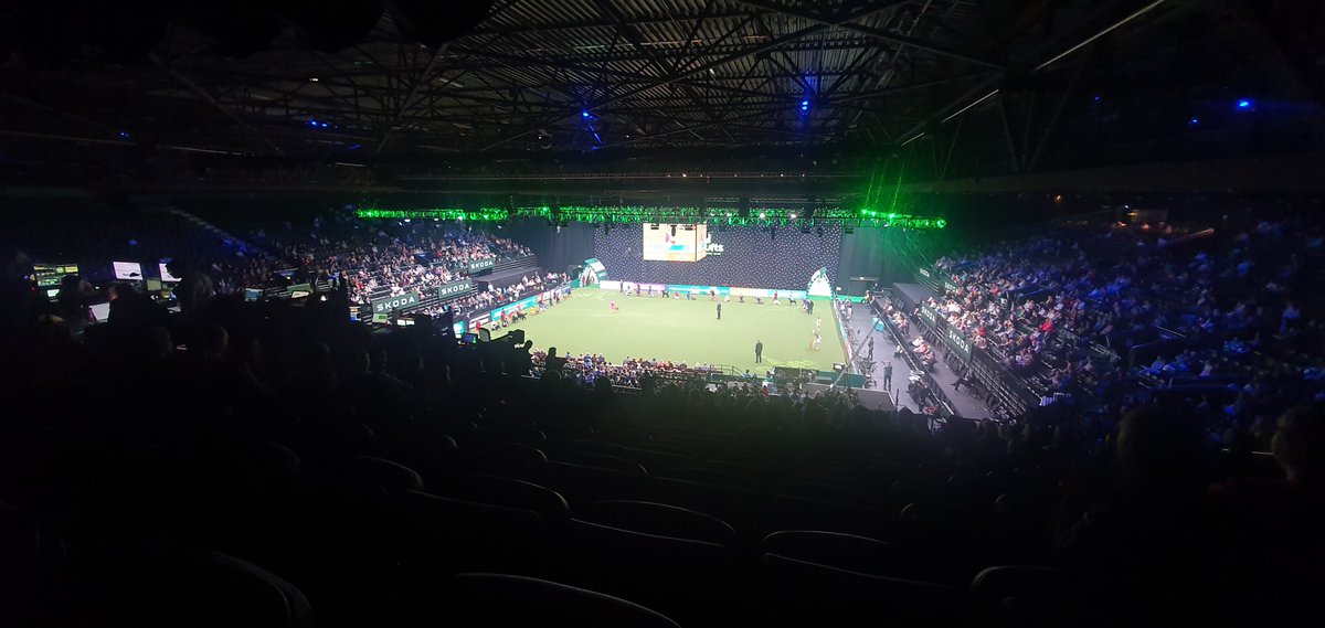 Crufts 2025 #Birmingham #Events #EventsIndustry