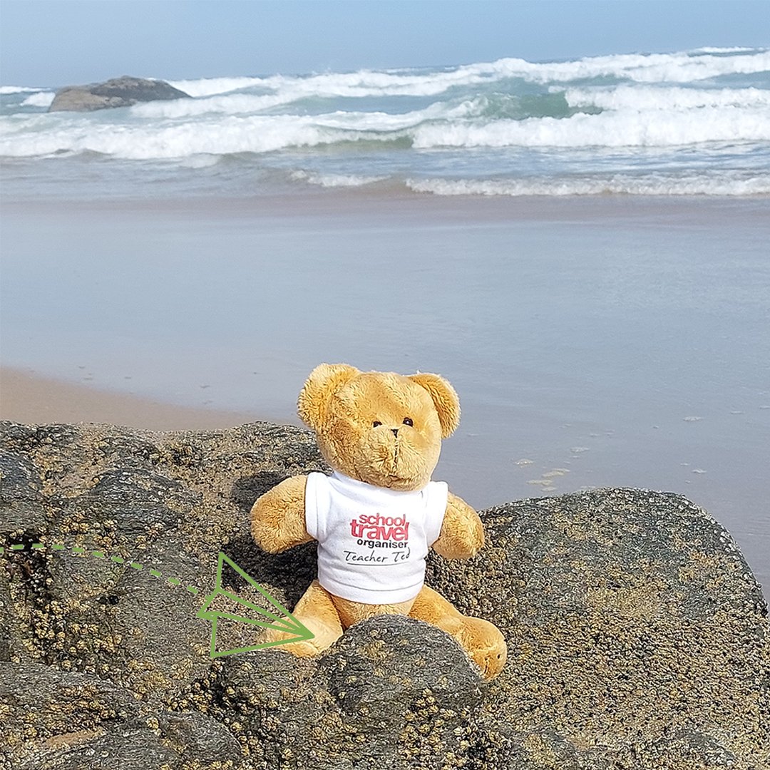 Travelbound tweet media