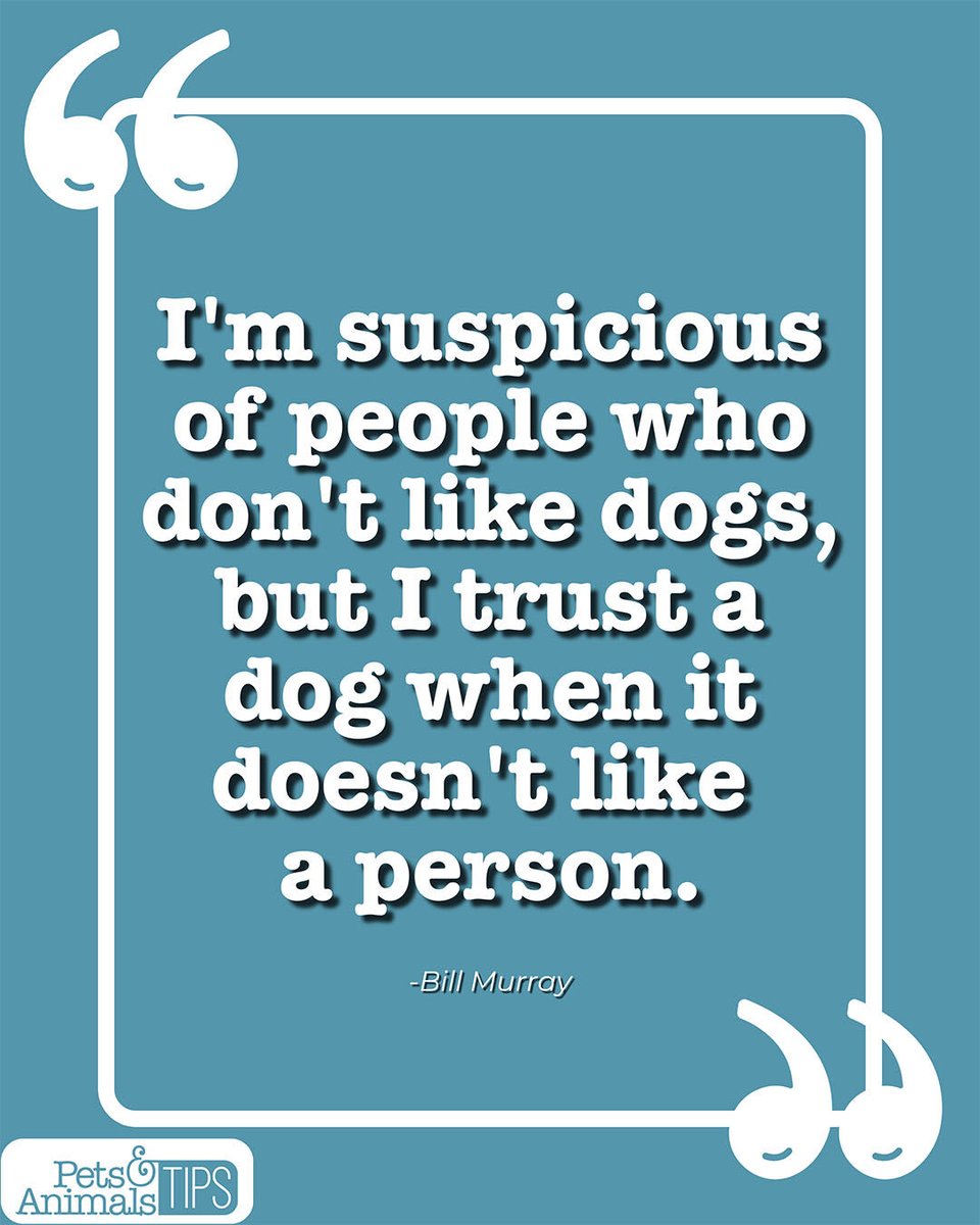 animals_tips's tweet image. Dogs really are the best judges of character. 

#DogQuotes #PetsAndAnimalsTips #DogLife #InDogWeTrust #PetLovers