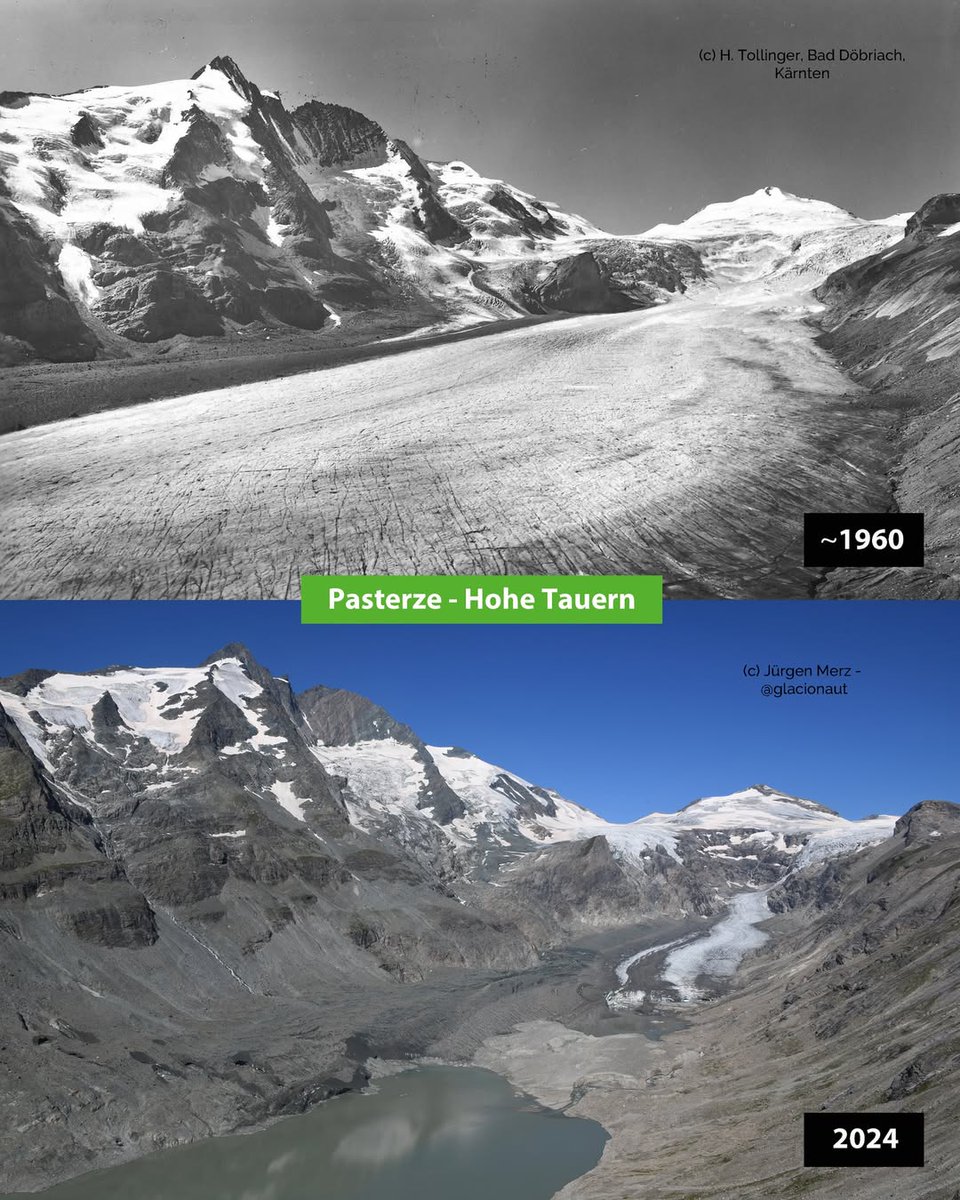 subfossilguy's tweet photo. Pasterze Glacier (Hohe Tauern, AT) 
1960 | 2024  

Austria's largest glacier (overlooked by Austria's highest peak) has suffered greatly from recent years of record losses and will lose its valley tongue in the near future (it is no longer fed from above) 📈🌡️😭  

📷 @glacionaut https://t.co/sAmre9IwYW