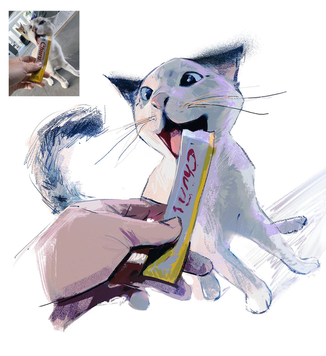 ~ new vid up of how i got scammed and adopted my new cat!! ^•ﻌ•^

youtu.be/8Lr88sqUF9c