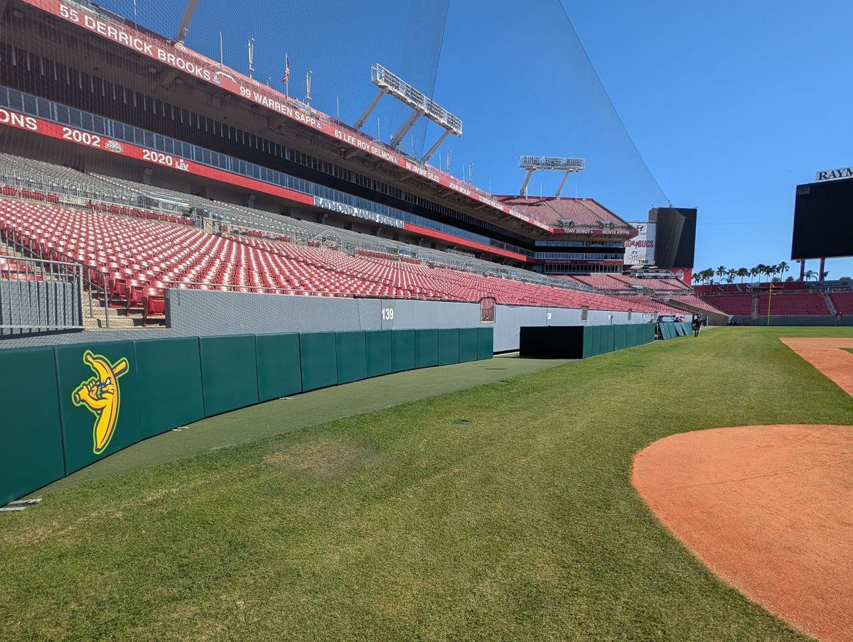 Taking Banana Ball where it’s never gone before… to an NFL Stadium! 🤩🏈🏟️

Custom Backstop Netting, STADIONIC Wall Padding and Dugout Rail Padding set up for the Savannah Bananas this Saturday @ Raymond James Stadium! 🏴‍☠️

We are proud to be the Official Netting Partner of the
