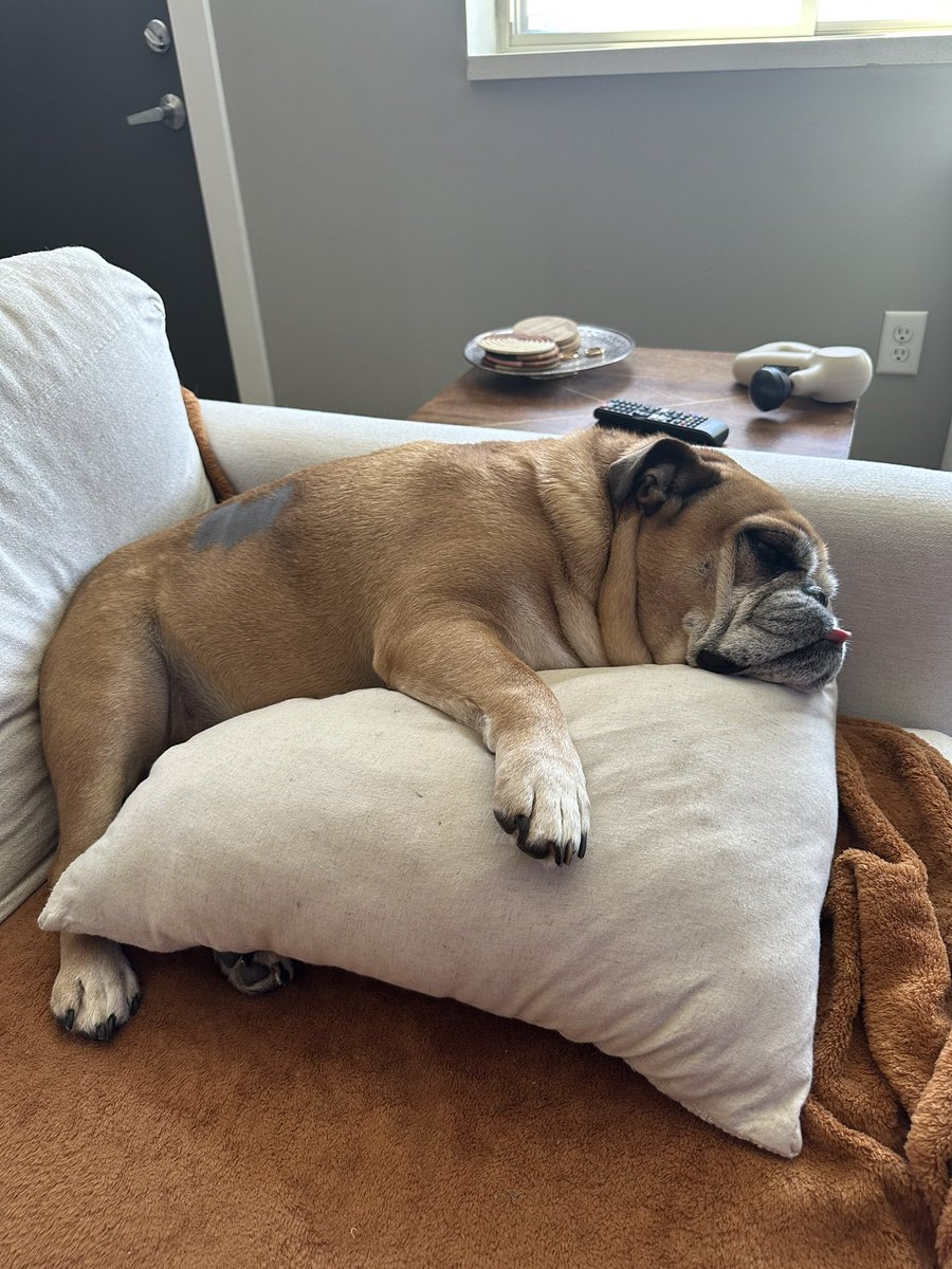 hunter_wunter's tweet photo. Just lounging https://t.co/IO9HtzWWTg