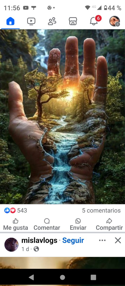 🦋Mariposa del amor🦋🥰❤️🤗🇲🇽🚴🐿️🐱🦆🐓🦋💥y🌛 tweet media
