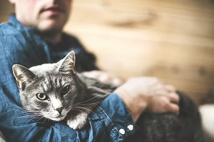 OuchMatch's tweet photo. Taking care of your pet while you’re healing can be tricky. Here are some practical solutions to ensure their needs are met without straining your recovery

https://t.co/1ynrJewfle 

#petcare #knee #kneerecovery #kneeinjury https://t.co/8x57L2YwoL