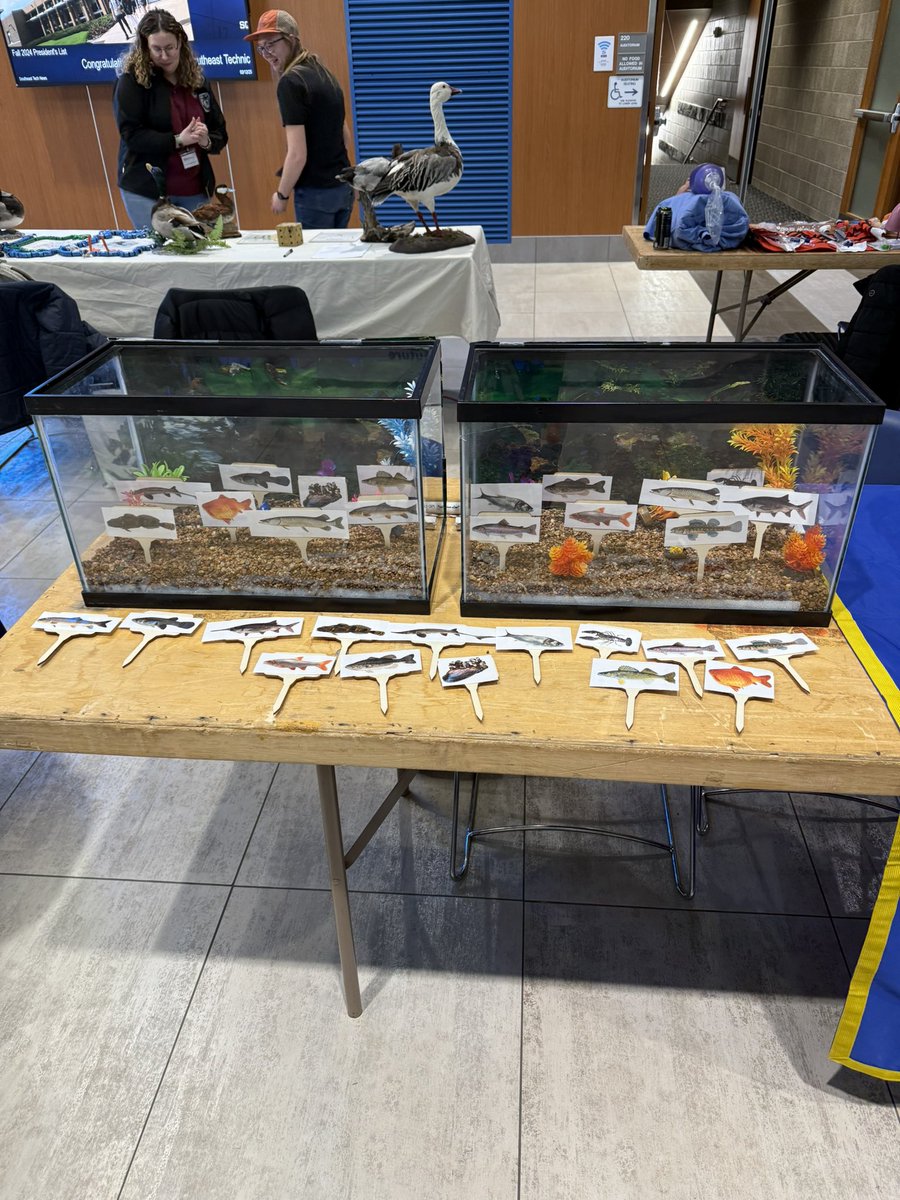 Hannah Mulligan (@mullyfish) on Twitter photo Another year of the #WISSiouxFalls outreach event! We have 3 activities this year: “fishing for facts”, “feed the bat”, and “guess the animal” ☺️🐟. <a href="/SDStateNRM/">SDStateNRM</a> <a href="/SDSUFishEcology/">Alison Coulter</a> Another year of the #WISSiouxFalls outreach event! We have 3 activities this year: “fishing for facts”, “feed the bat”, and “guess the animal” ☺️🐟. <a href="/SDStateNRM/">SDStateNRM</a> <a href="/SDSUFishEcology/">Alison Coulter</a>