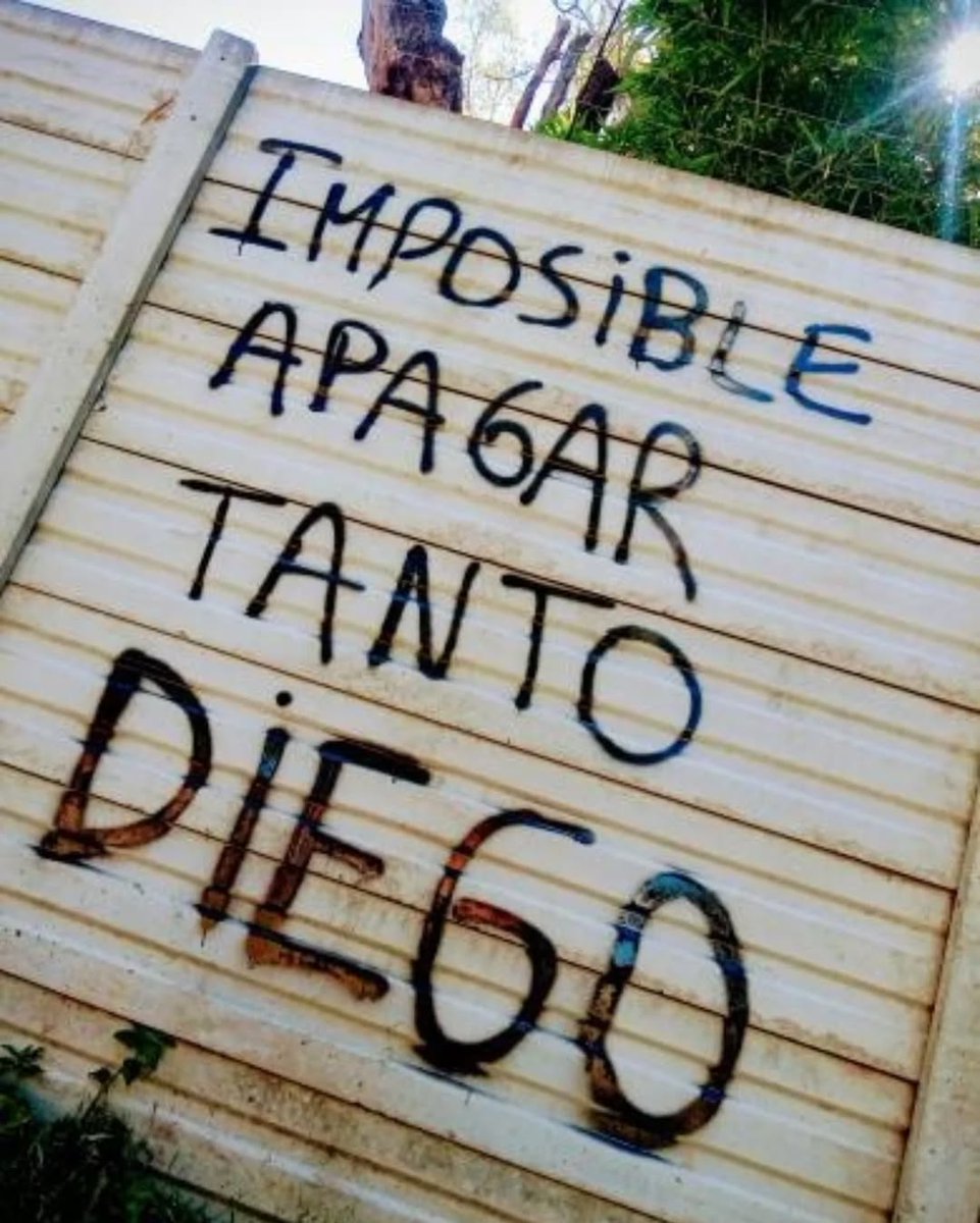 AMANDO A MARADONA (@iosumardones10) on Twitter photo 