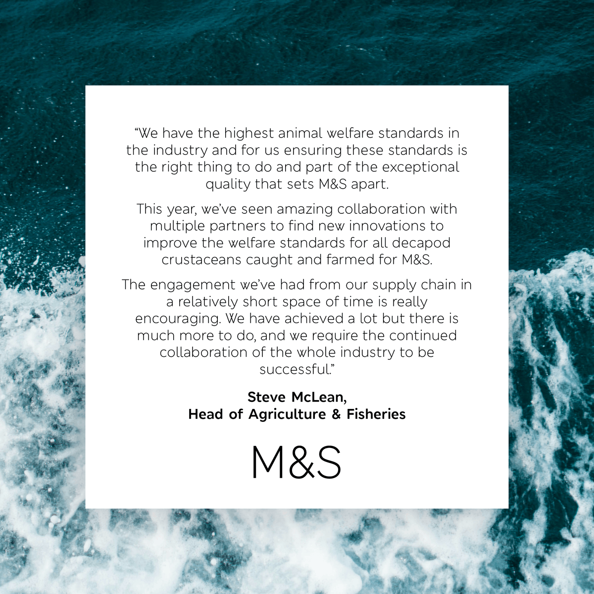MandSnews's tweet photo. We have been recognised as the leading company in Crustacean Compassion for the third consecutive year. Hereโs what Steve McLean, Head of Agriculture & Fisheries at M&S, has to say about this achievement.
#CrustaceanCompassion #NotJustAnyNews @crab_welfare https://t.co/OSKQb0ajy4