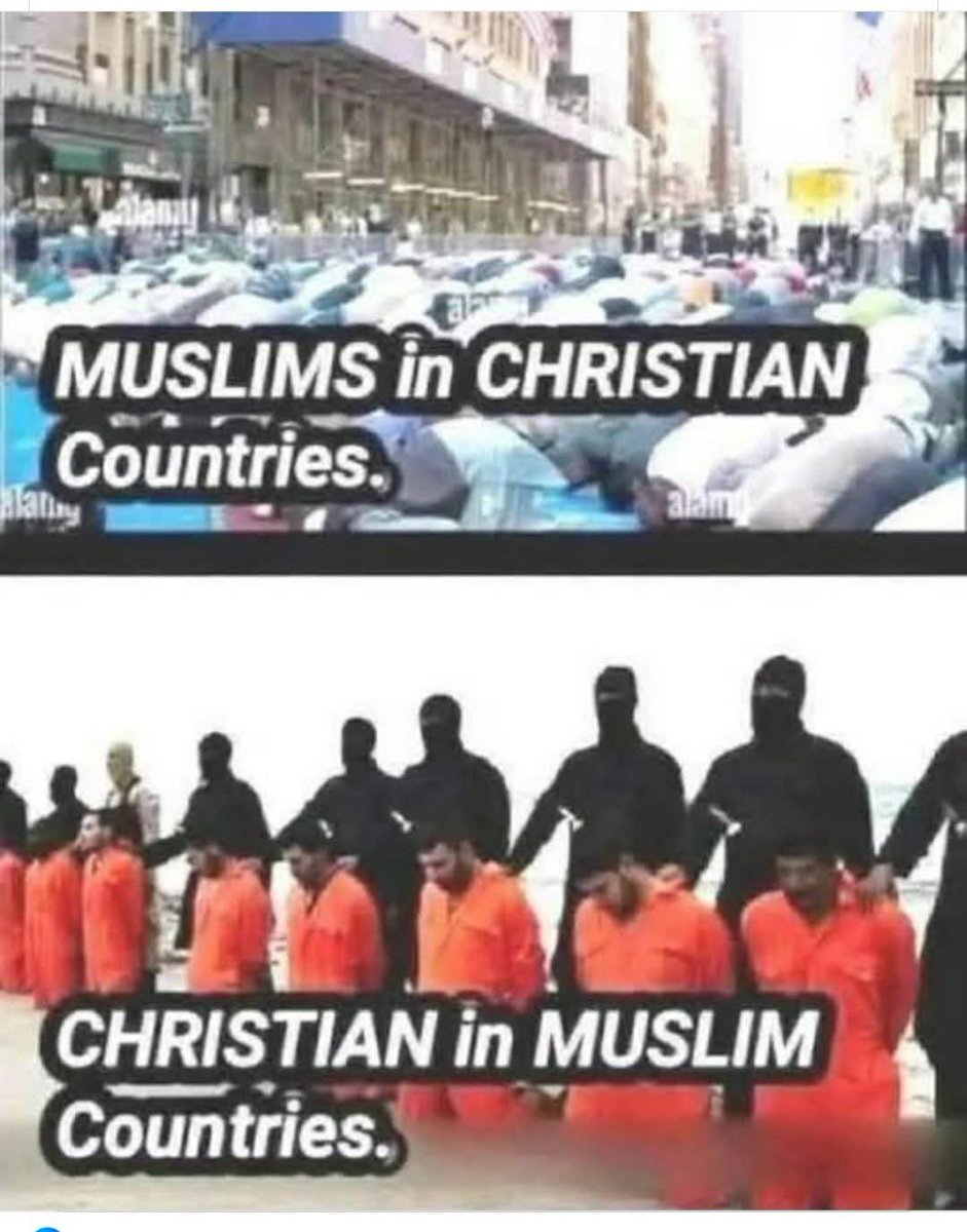 Here as a guest and Pro-Hamas? GTFO. American and Pro-Hamas? GTFO.