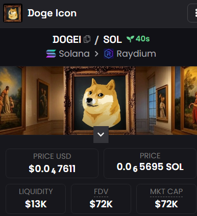 DogeIconSOL tweet picture