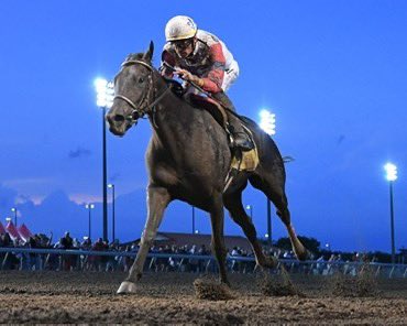Prairie Meadows (@prmracing) on Twitter photo Good luck to <a href="/IanWilkesRacing/">Ian Wilkes</a> and the connections of Just Basking, Saturday at <a href="/fairgroundsnola/">Fair Grounds Race Course & Slots</a>. She’s our 2024 Iowa Oaks winner! #IowaFestivalofRacing Good luck to <a href="/IanWilkesRacing/">Ian Wilkes</a> and the connections of Just Basking, Saturday at <a href="/fairgroundsnola/">Fair Grounds Race Course & Slots</a>. She’s our 2024 Iowa Oaks winner! #IowaFestivalofRacing
