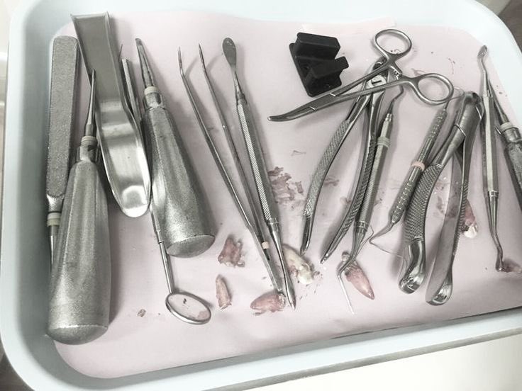 patron saint of filth tweet media