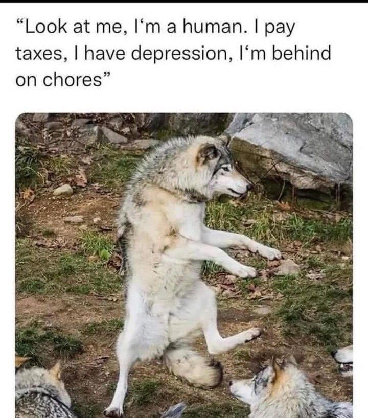 😂