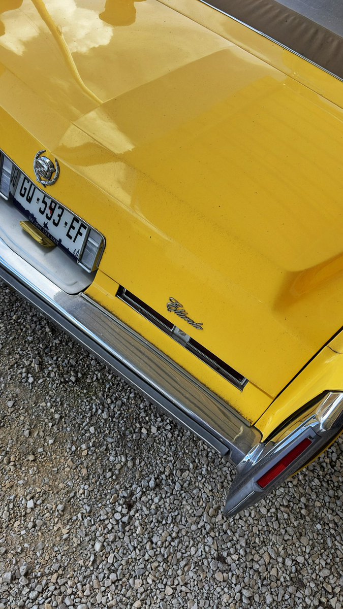 Wiss (@findingxwissem) on Twitter photo 