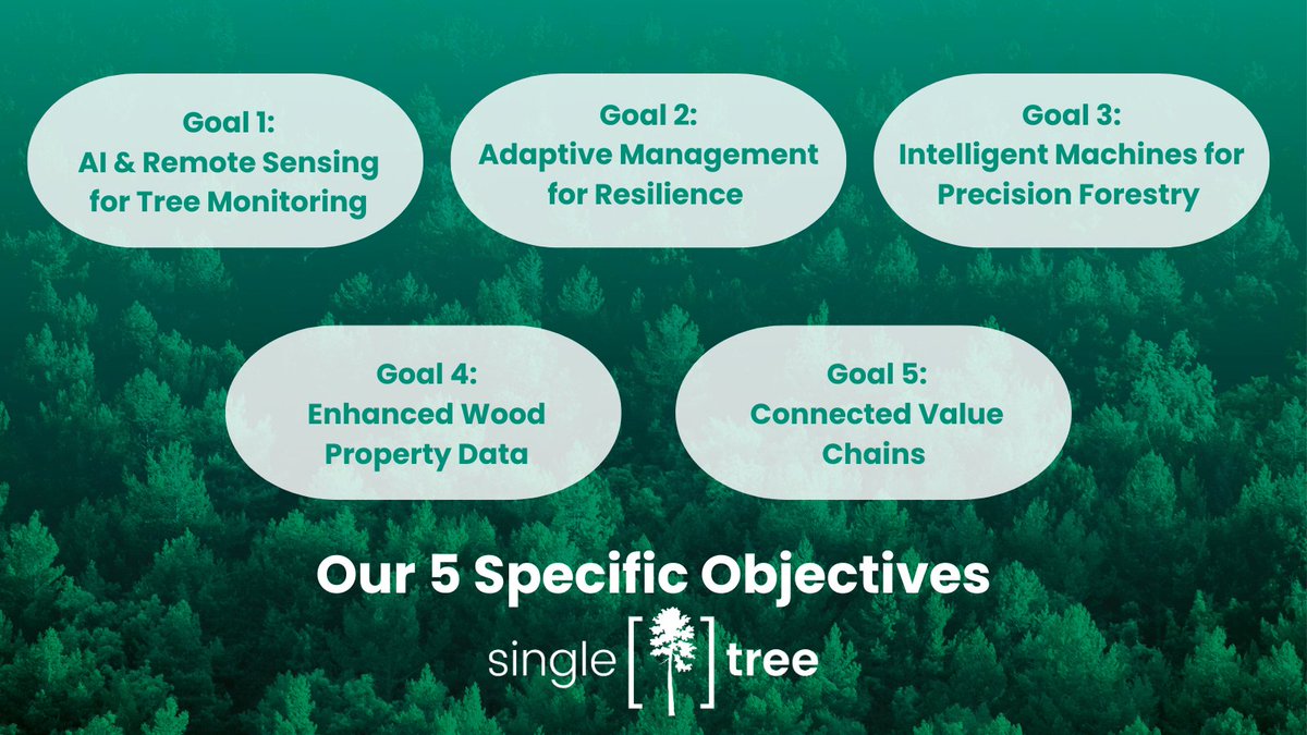 SingleTree_eu's tweet image. We’re optimizing #singletree value chains for climate resilience &amp;amp; sustainability using AI, remote sensing &amp;amp; intelligent machines. 🚀
Our targets? 
🔹 20M trees mapped
🔹 20% more multifunctionality
🔹 20K+ trees identified in real time
🔹 20% higher value creation