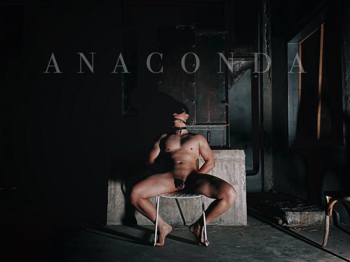 Anaconda tweet media