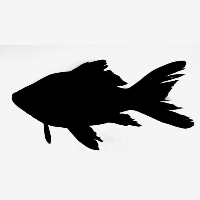 my name is gupi

I made the food house

it was difficult, to put the pieces together