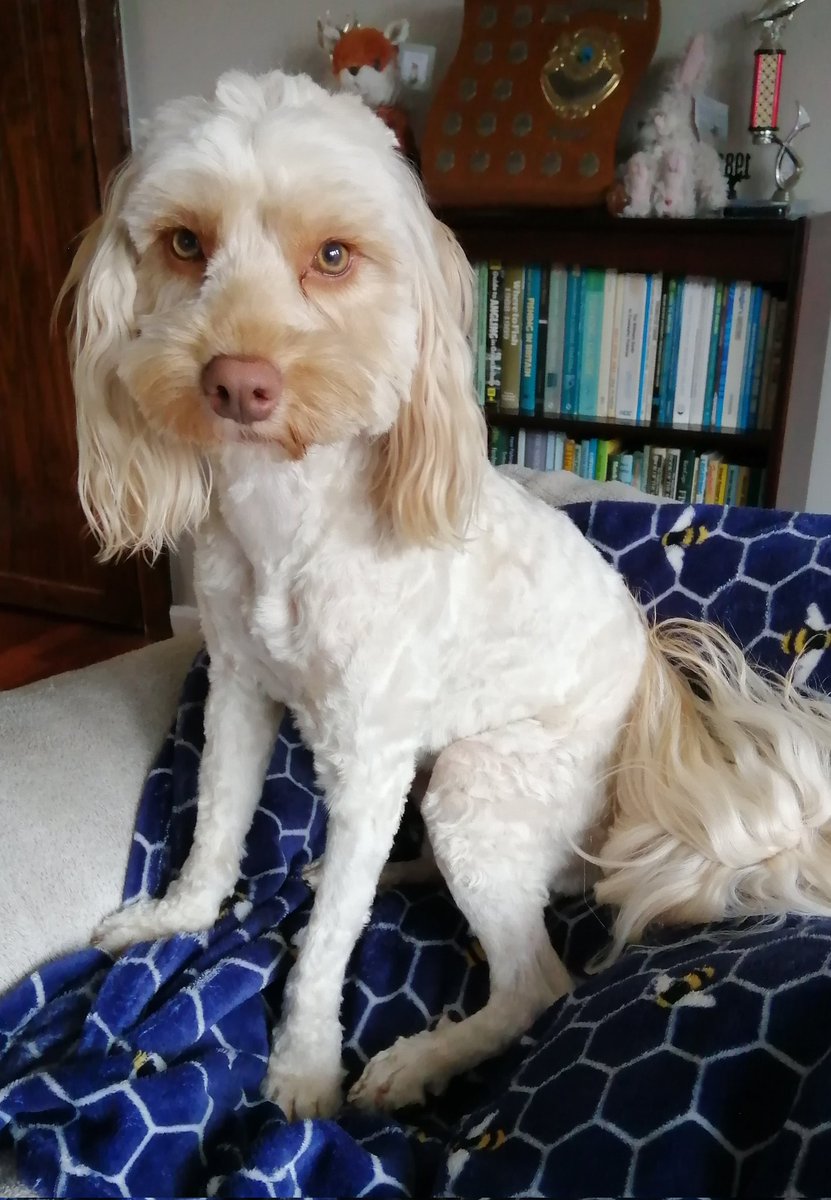 Me this morning and me this afternoon.