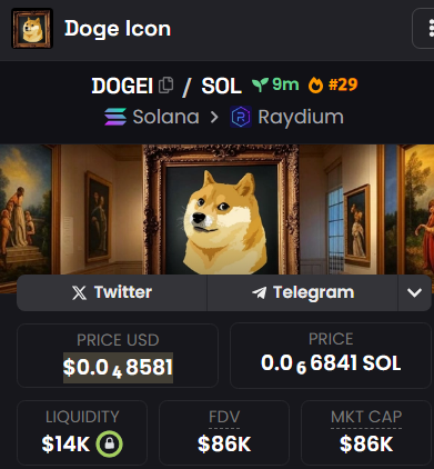 DogeIconSOL tweet picture