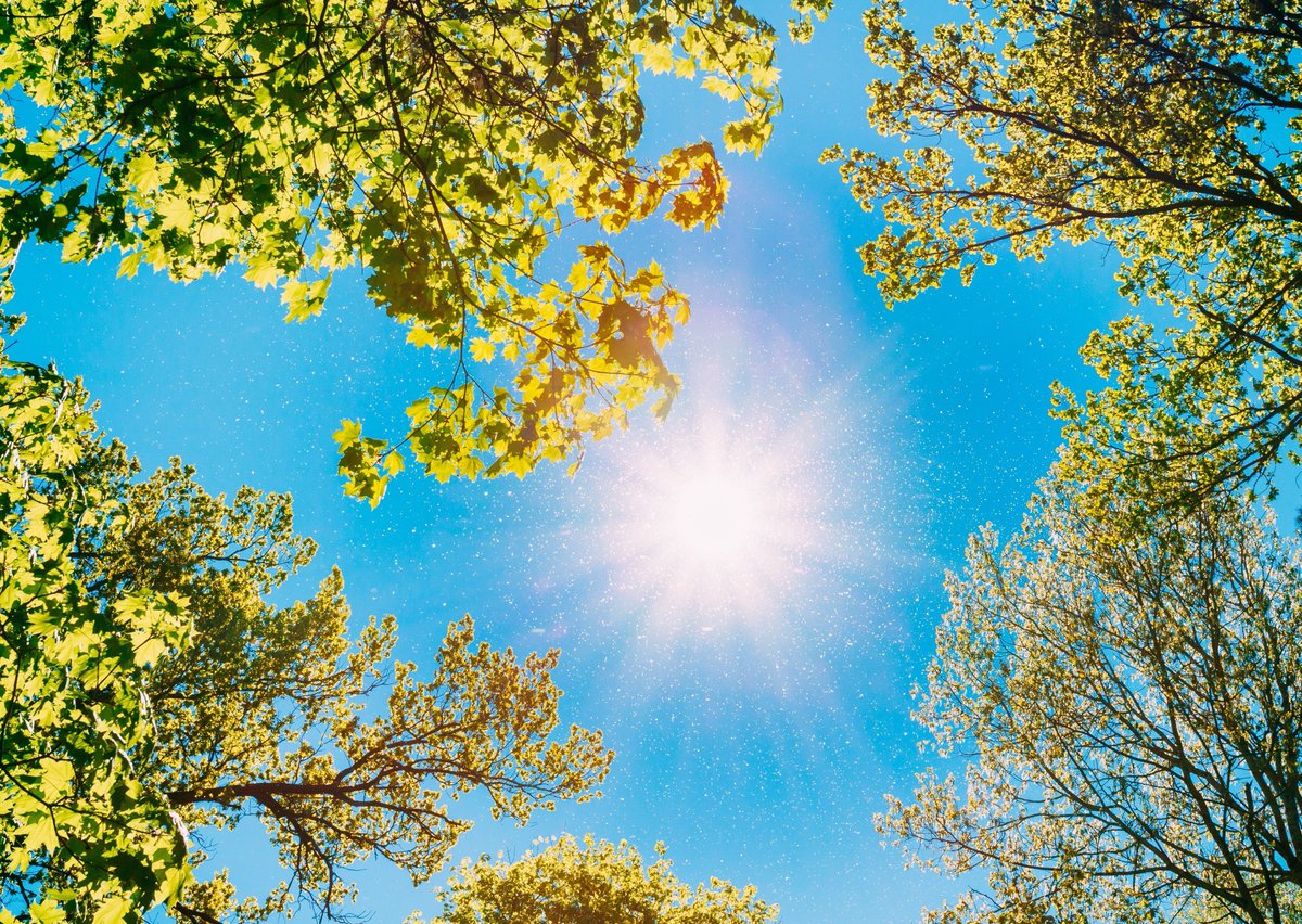 WellChildFams's tweet image. #Wellbeing Wednesday! Spring is here, and it&apos;s time to enjoy the outdoors! 🌼 Whether you&apos;re gardening, exercising outside, or spending time with animals, nature can boost your mood, reduce stress, and improve health. Let&apos;s embrace these positive vibes! #SpringWellness
