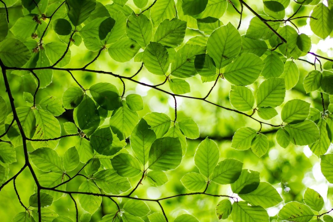 go_ecofi's tweet image. Spring is the perfect time for a complementary portfolio review. 
Book yours today: buff.ly/3gmisXU 
#PropertyOptimization