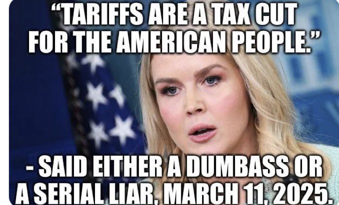 How is it possible to have this much stupidity in just one person.