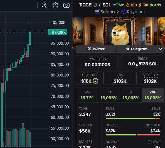 DogeIconSOL tweet picture