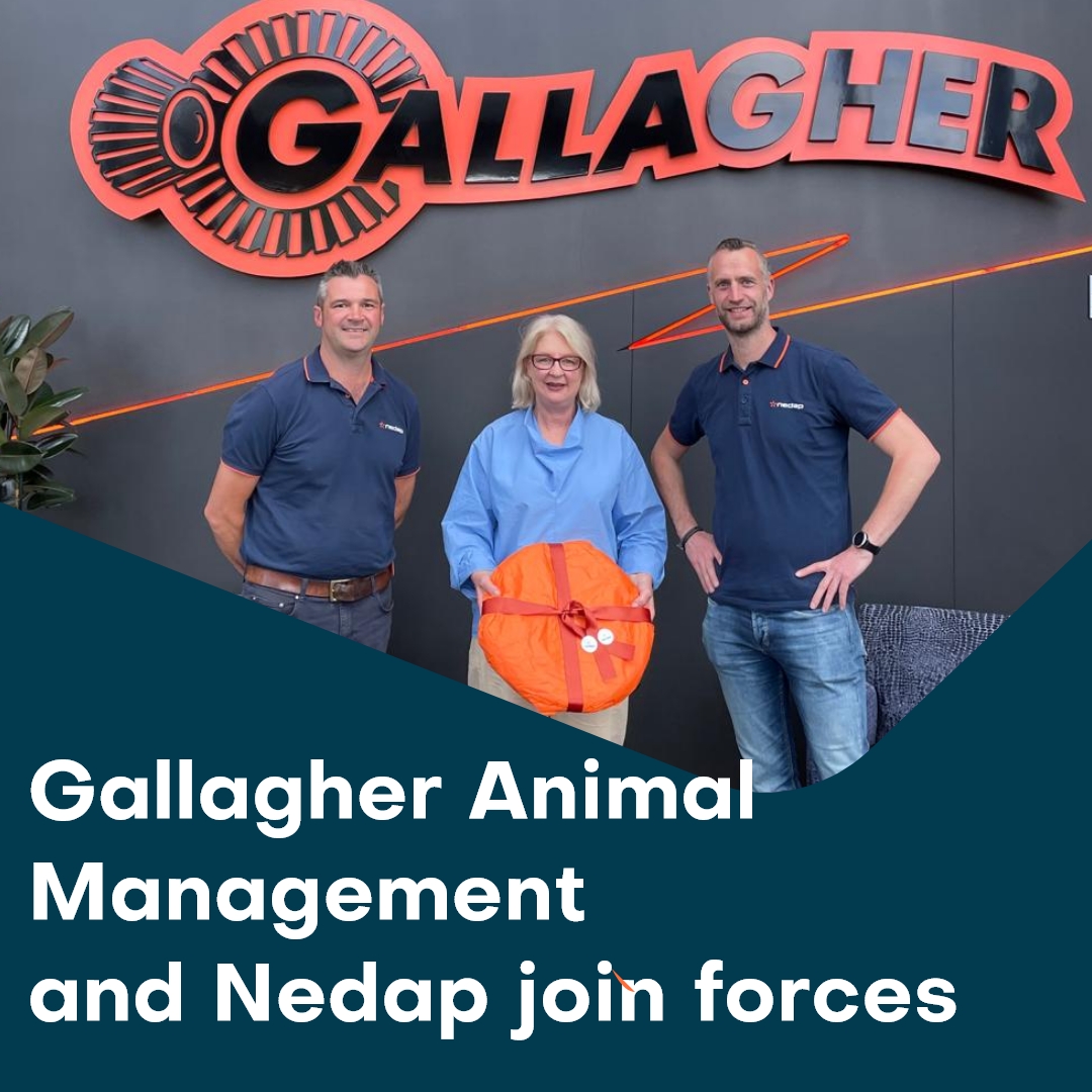 Big news in AgriTech!

Gallagher Animal Management and Nedap are joining forces in New Zealand to revolutionize livestock management! 

📢 Read more: ow.ly/GOxn50Vgjci

<a href="/GallagherNA/">Gallagher Animal Management</a> #DairyFarming #AgriTech #VirtualFencing #SmartFarming