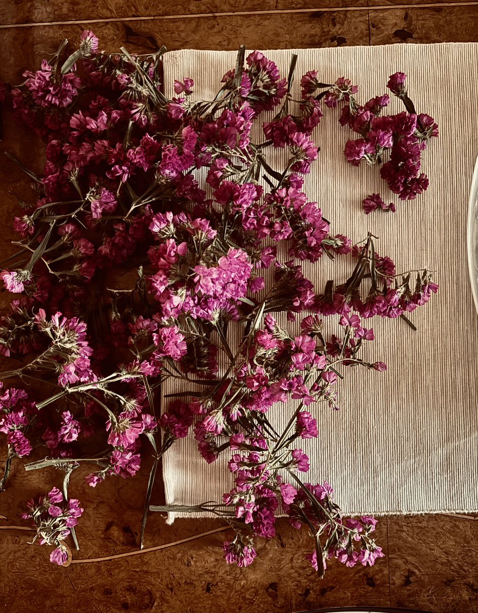 •Potpourri•