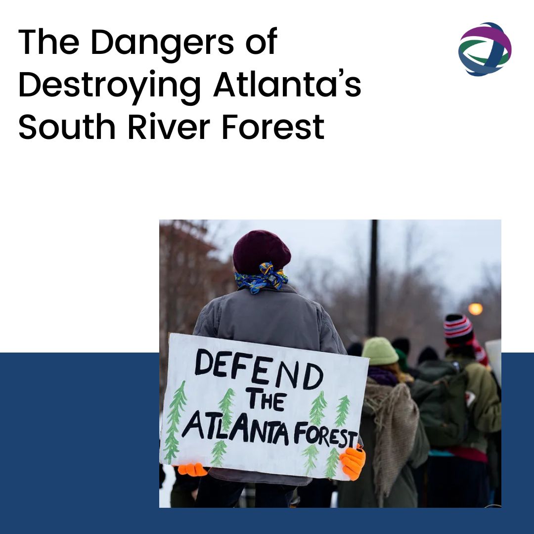 #Atlanta's South River Forest; cleared for police training center. Experts warn that this could increase air pollution, worsen flooding, and impact vulnerable communities.

🔗 loom.ly/DOEADOg
#EnvironmentalJustice #WeelauneeForest #StopCopCity