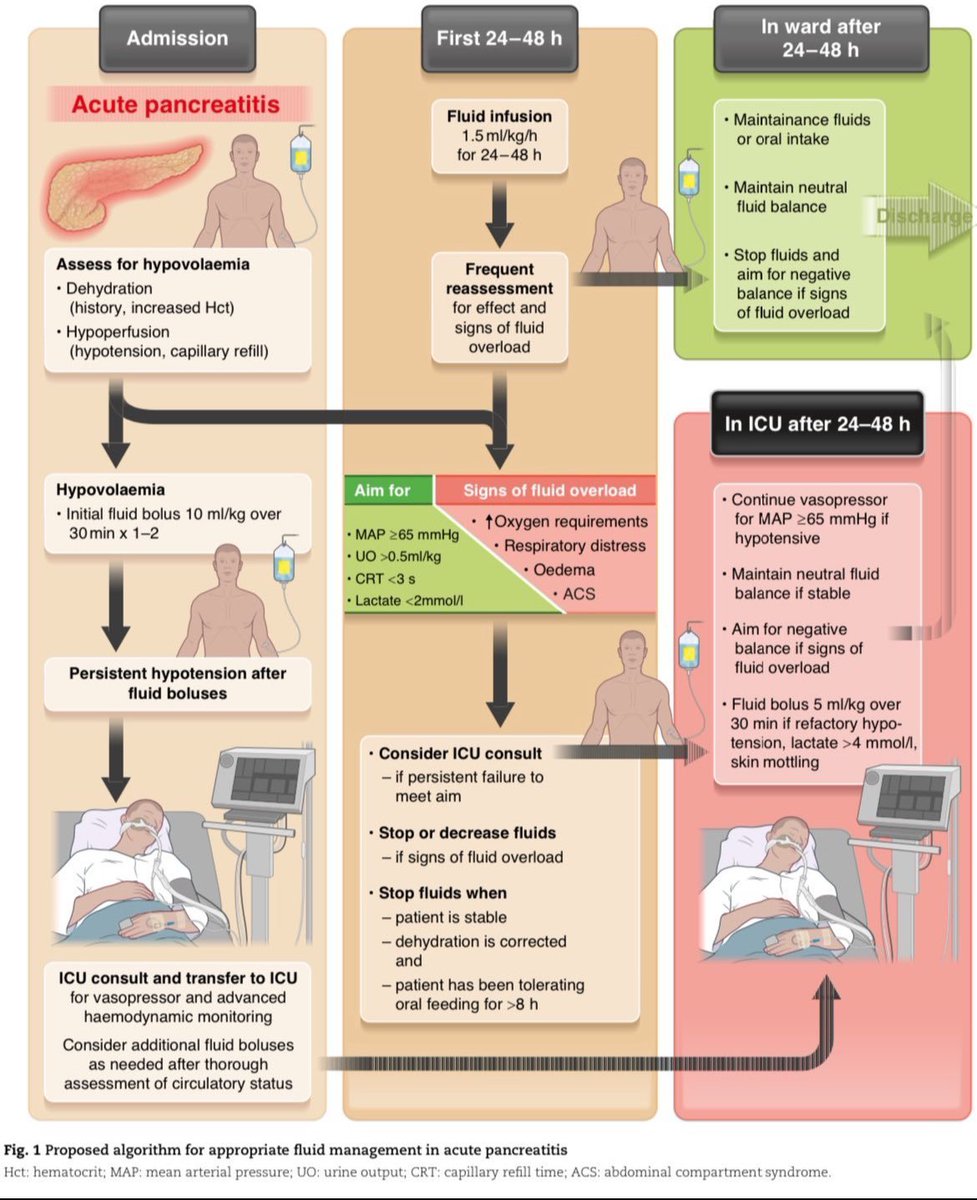 💧 Fluid Management in Acute 💥 Pancreatitis 

source: British Journal of Surgery, Volume 110, Issue 8, August 2023, Pages 880–882