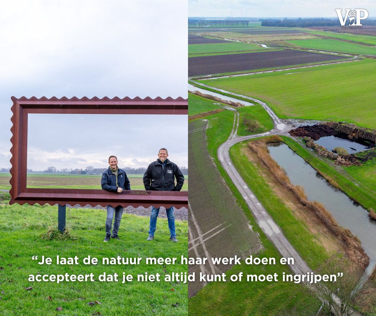 VanIperenBV's tweet image. Wil jij meer weten over de manier waarop landbouw en natuur samengaan in De Zegenpolder? Lees het volledige verhaal in onze nieuwste ViP of op de website!

iperen.com/kennis-nieuws/…

#natuurinclusievelandbouw #vip #zegepolder #akkerbouw #groeispecialist