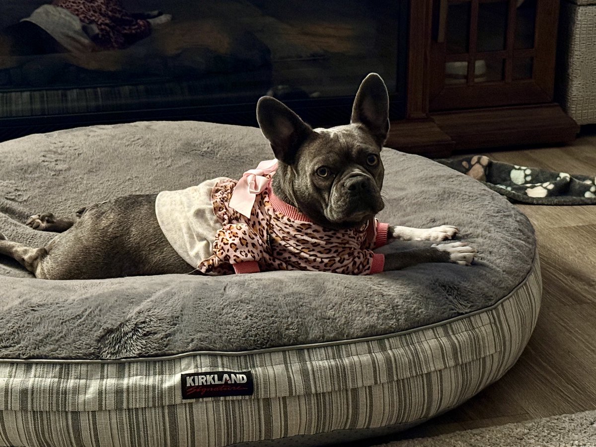 CindyRoseCali's tweet photo. Ruby says “Good morning!” https://t.co/eI60FbJLo5