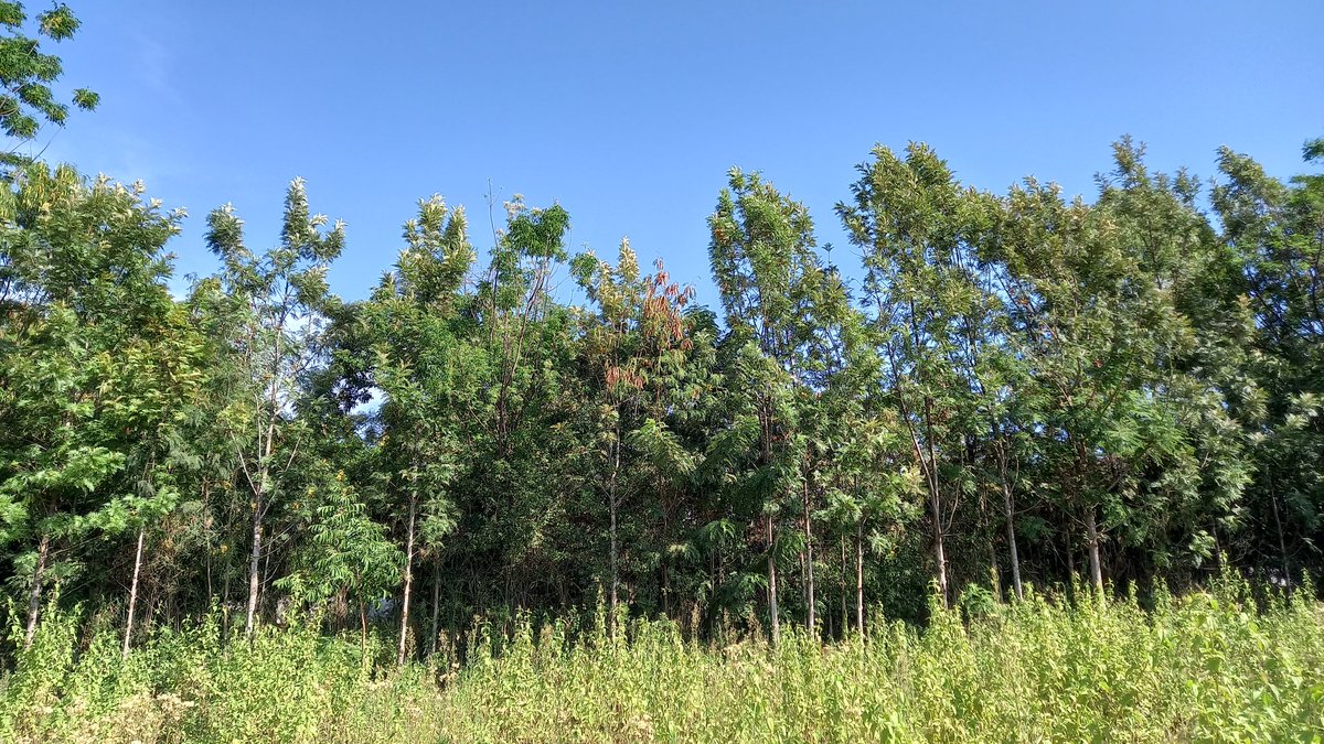 One Vision Kenya tweet media