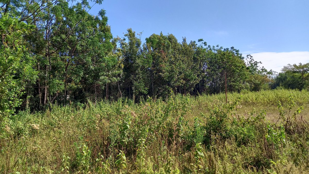 One Vision Kenya tweet media