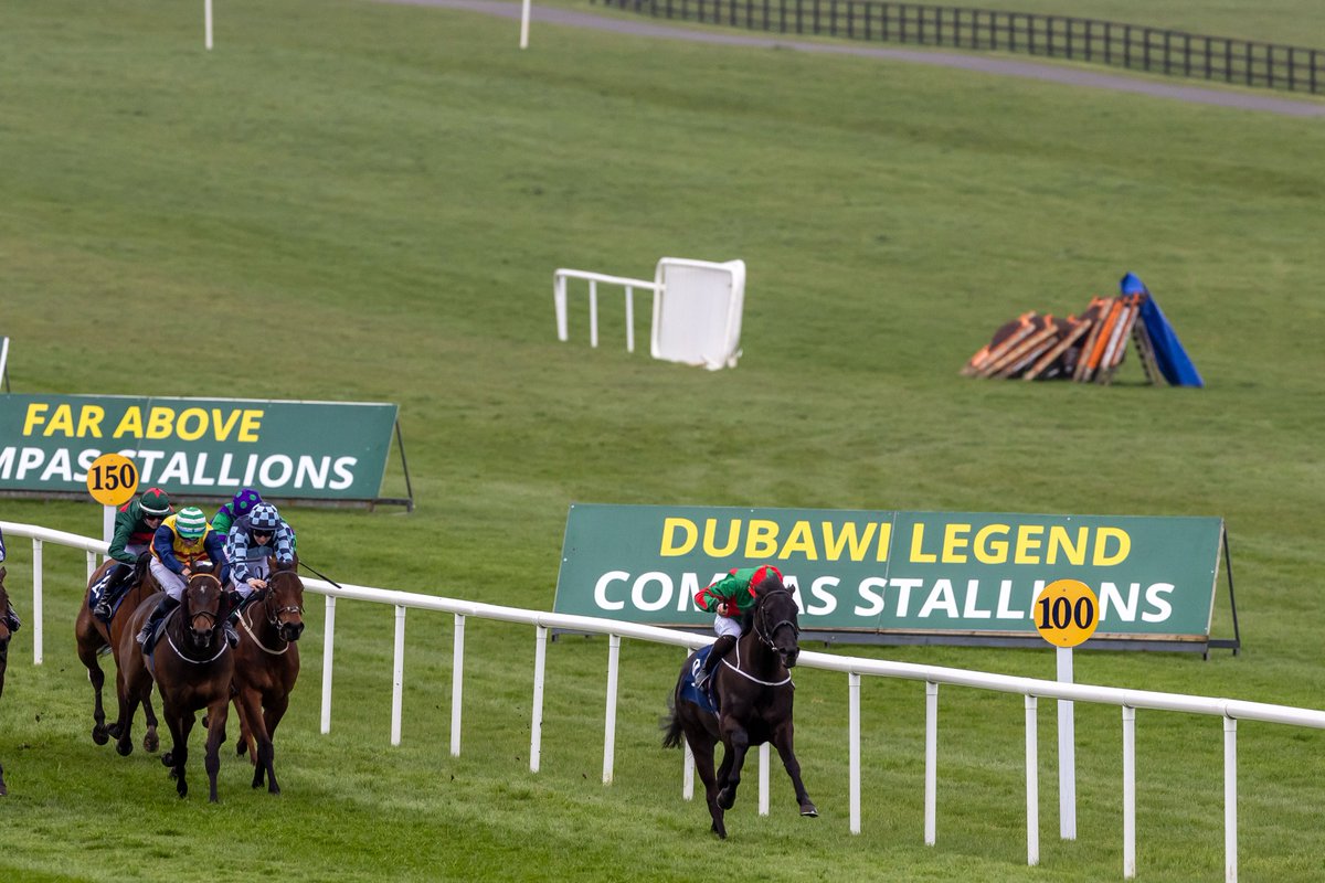 Naas Racecourse (@naasracecourse) on Twitter photo 🏇 Exciting news! <a href="/CompasStallions/">CompasStallions</a> are back sponsoring on Sunday, Mar 23rd!
They'll sponsor 4️⃣ races on the day including the Dubawi Legend At Compas Stallions Handicap, previously won by WENDLA, who later went on to win a Group 3 <a href="/LeopardstownRC/">Leopardstown RC</a> 🏆✨
#FlatisBack #NaasRC 🏇 Exciting news! <a href="/CompasStallions/">CompasStallions</a> are back sponsoring on Sunday, Mar 23rd!
They'll sponsor 4️⃣ races on the day including the Dubawi Legend At Compas Stallions Handicap, previously won by WENDLA, who later went on to win a Group 3 <a href="/LeopardstownRC/">Leopardstown RC</a> 🏆✨
#FlatisBack #NaasRC