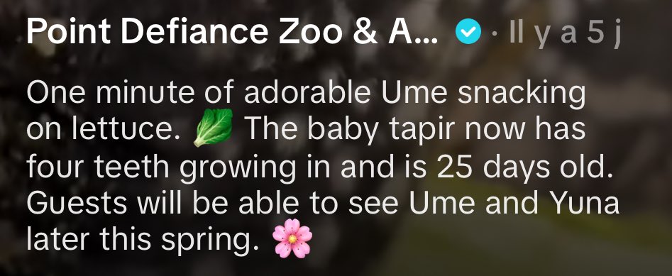 $UME to the Moon 🌙