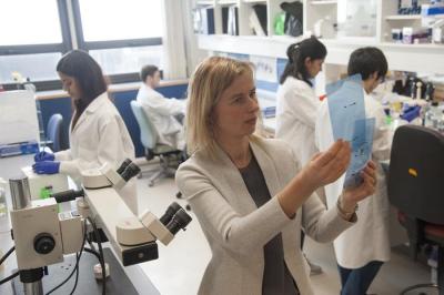 NEIDirector's tweet photo. #ICYMI - From @MassEyeandEar: #CALEC clinical trial update - more than 90% of patients with damaged corneas had their eye surfaces safely restored after receiving a healthy eye's #stemcells transplant. First #NEIfunded human stem cell therapy trial.
https://t.co/9ZVtgwye1v https://t.co/53Gnm9XrJ9