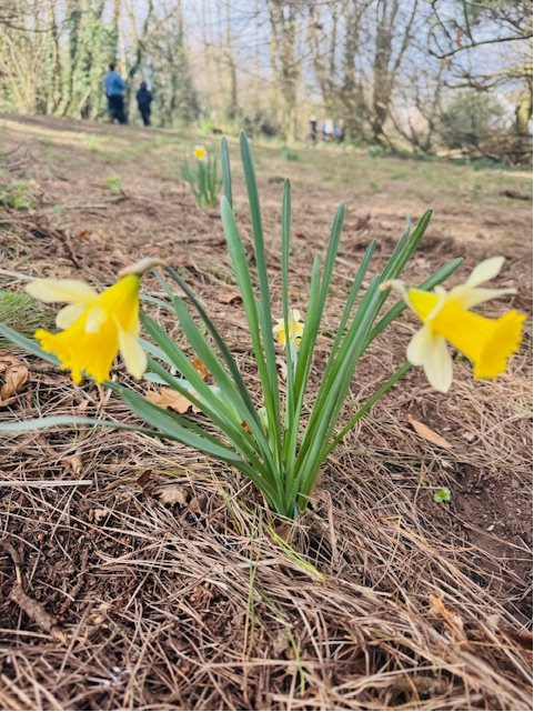 ACERedruth tweet media