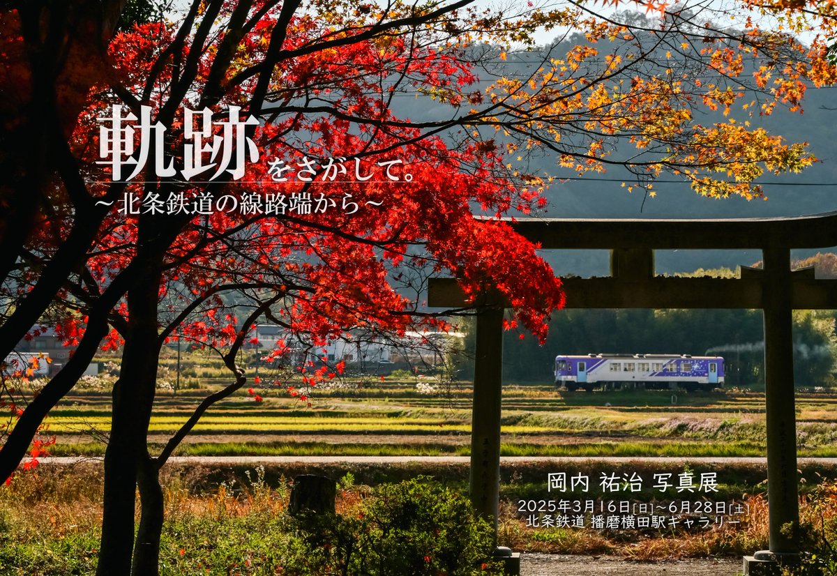 Yuji Okauchi📷3/16-6/28 個展「軌跡をさがして」 C105 東フ64a